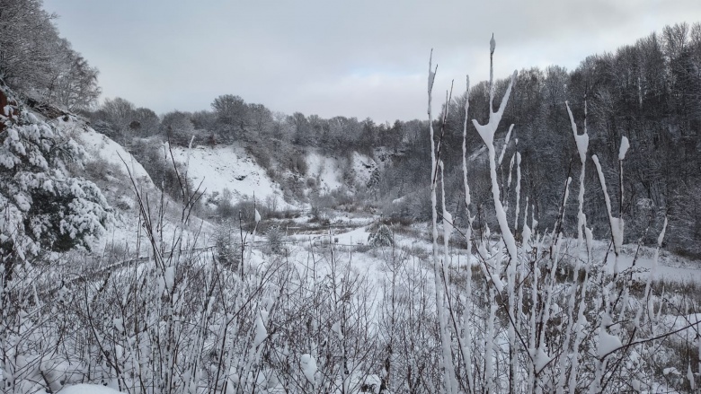 Liether Kalkgrube im Winter 2026