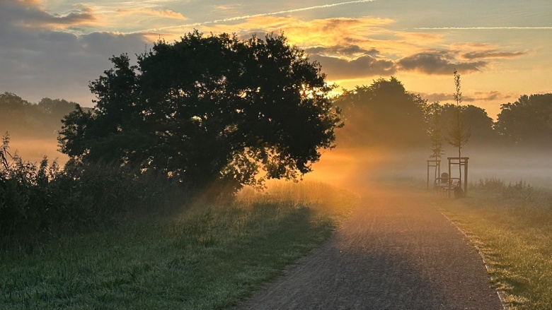 Middenmang am Morgen
